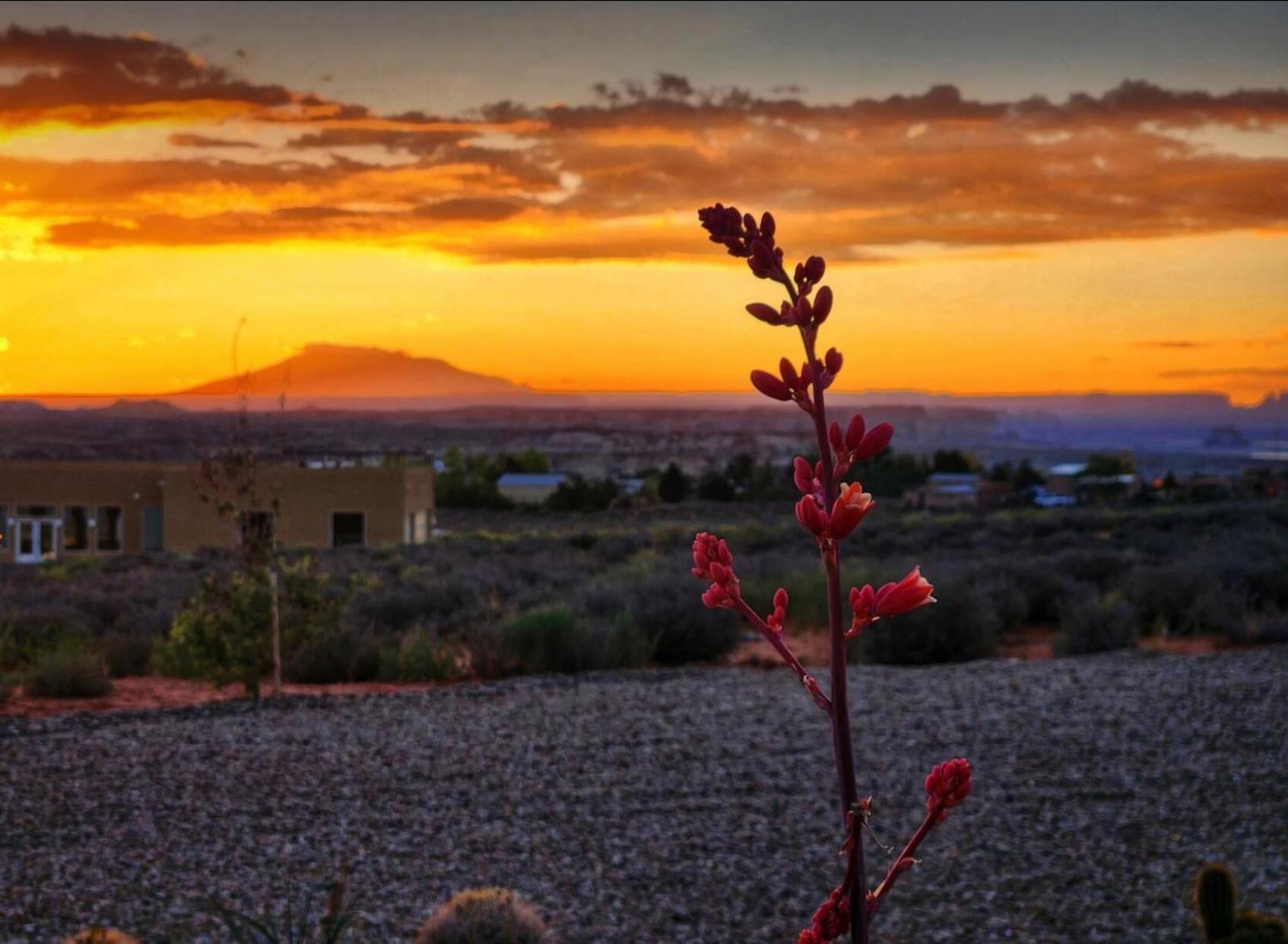 Page Arizona Border Town- Crimson Suite, Desert Canyon Getaway With Views بيغ ووتر المظهر الخارجي الصورة